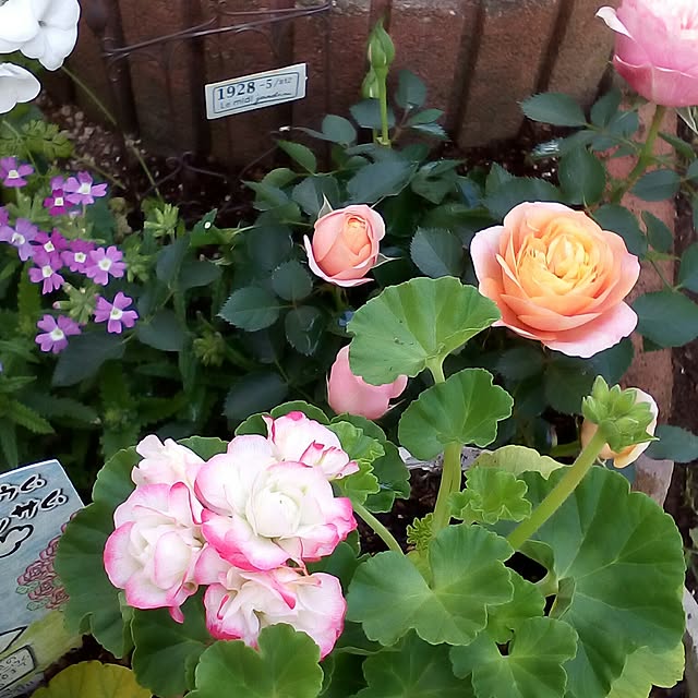 mariagardenさんの実例写真