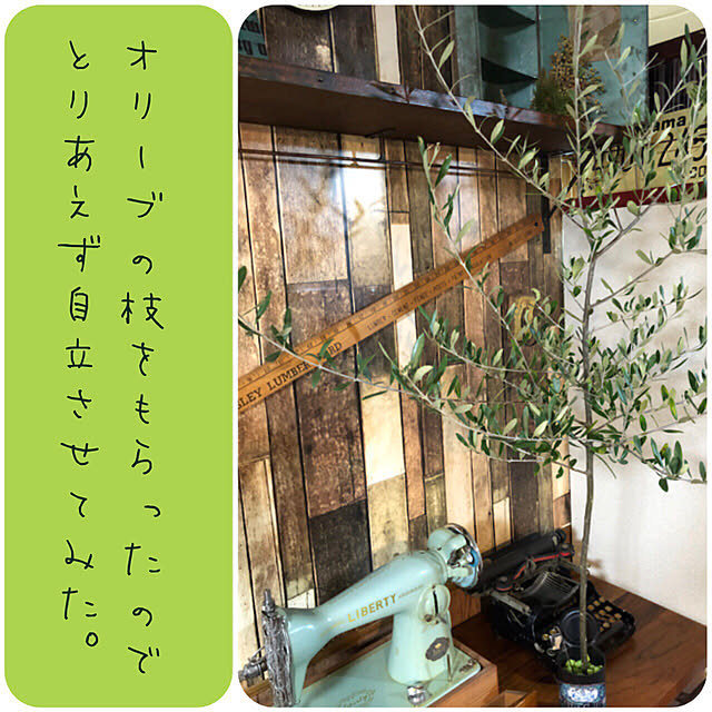 SAKUさんの実例写真