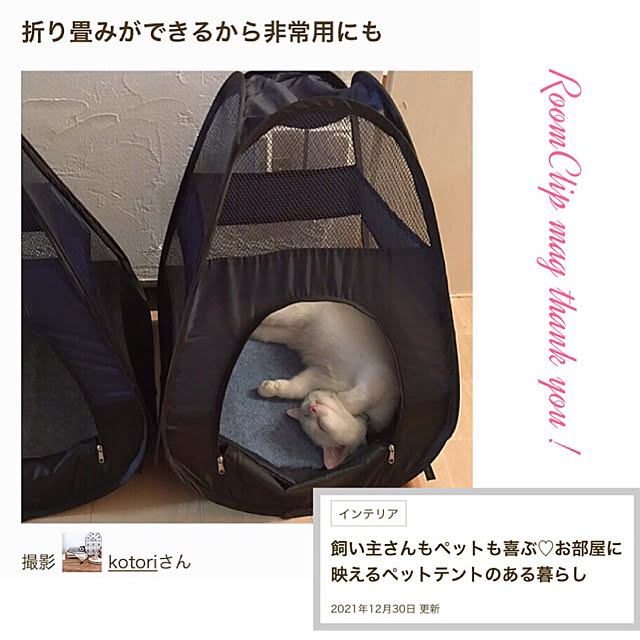kotoriさんの実例写真