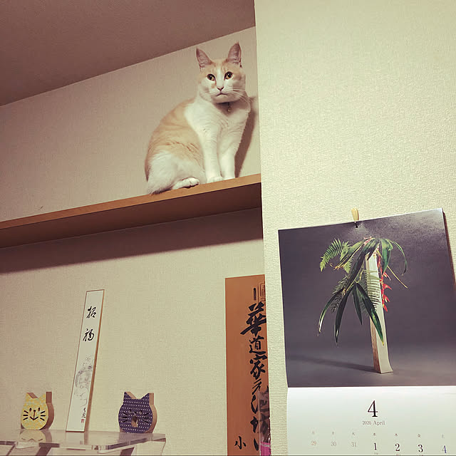 naworinさんの実例写真