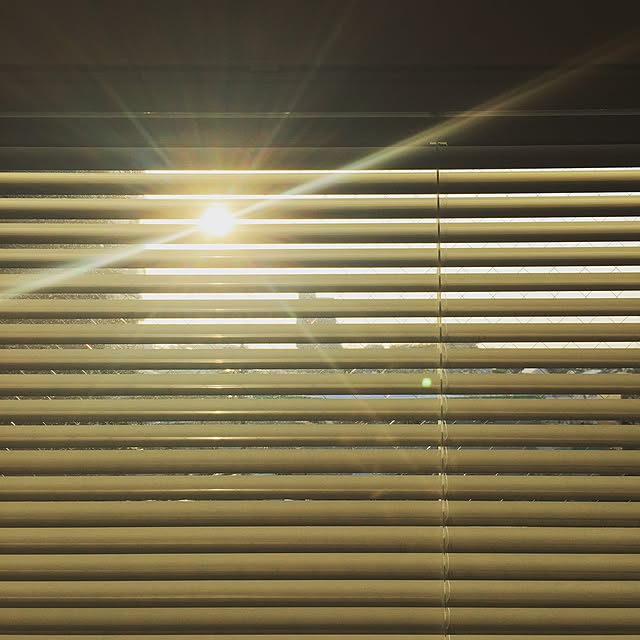 do_thee_boogieさんの実例写真