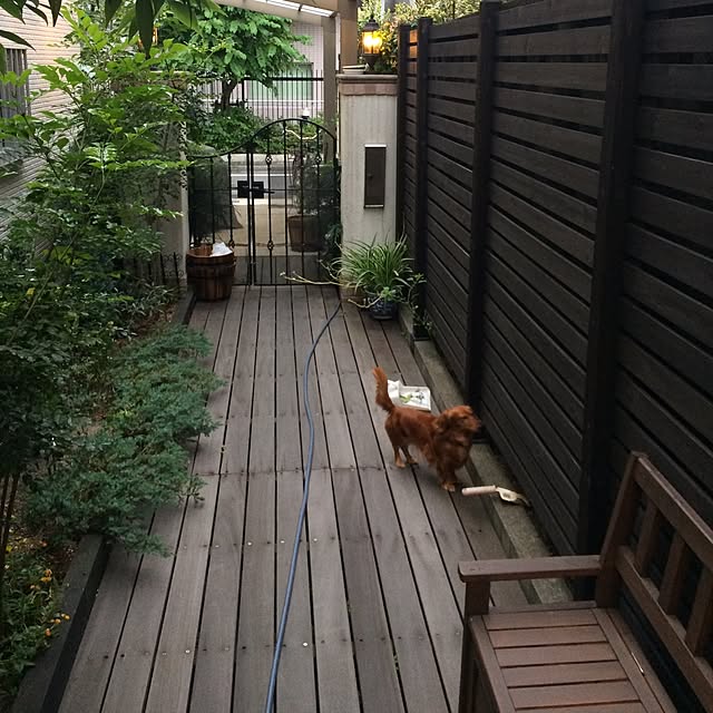 実例写真