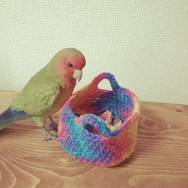 0c.c0さんの実例写真