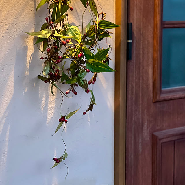 Kikko.さんの部屋