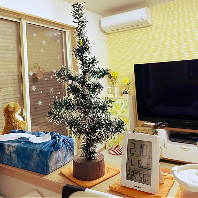 Annieさんの実例写真