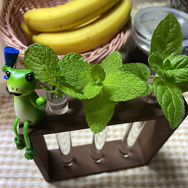 ChiCoさんの実例写真