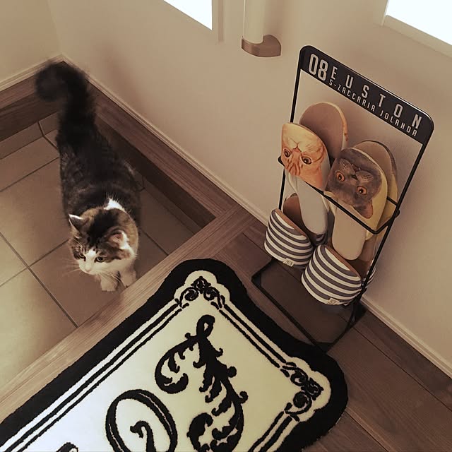 yumi_nekoさんの実例写真