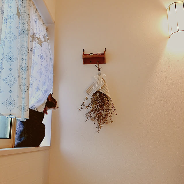 ippu0303Karinさんの実例写真