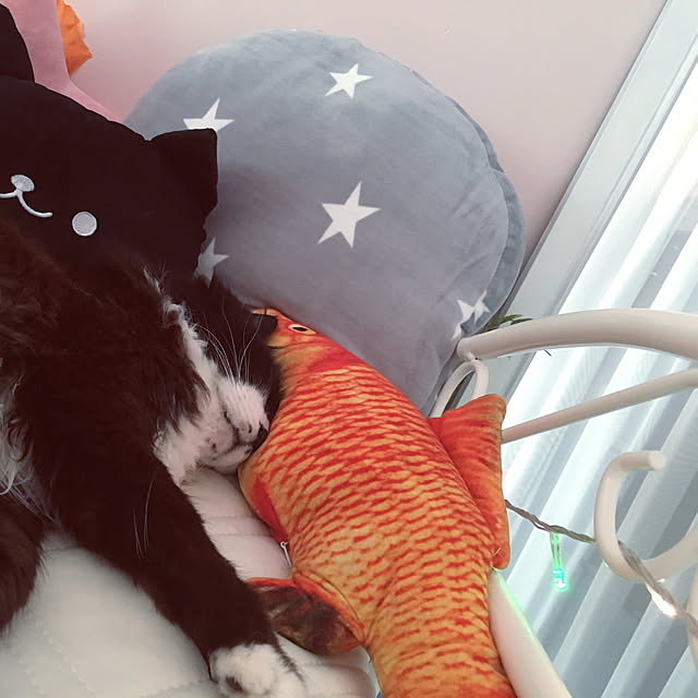 kanaさんの実例写真