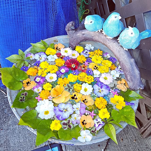 mocomocoさんの実例写真