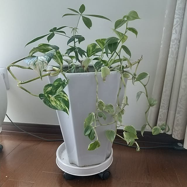 Rさんの部屋