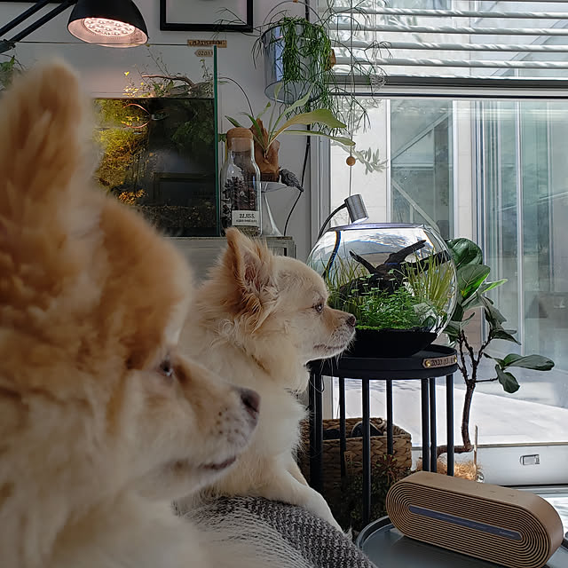 mi-さんの実例写真