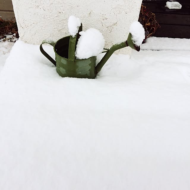 fukuさんの実例写真