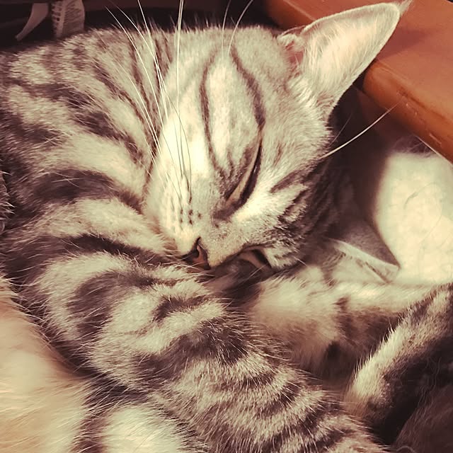 amo69xxさんの実例写真