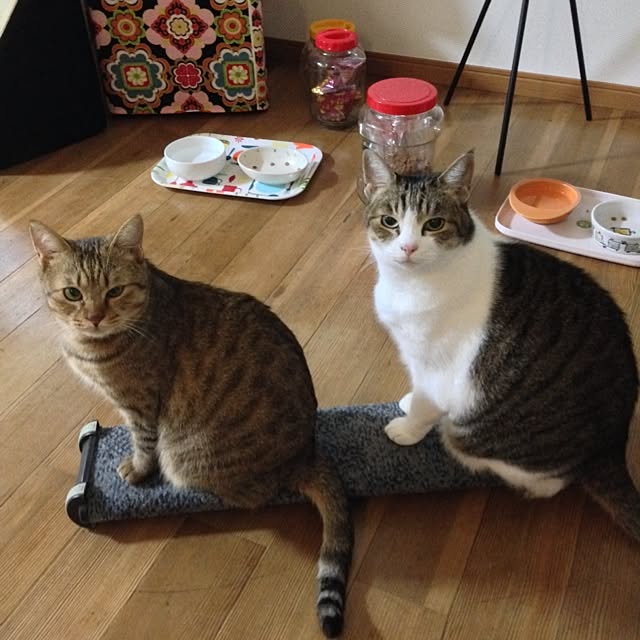 monpさんの実例写真