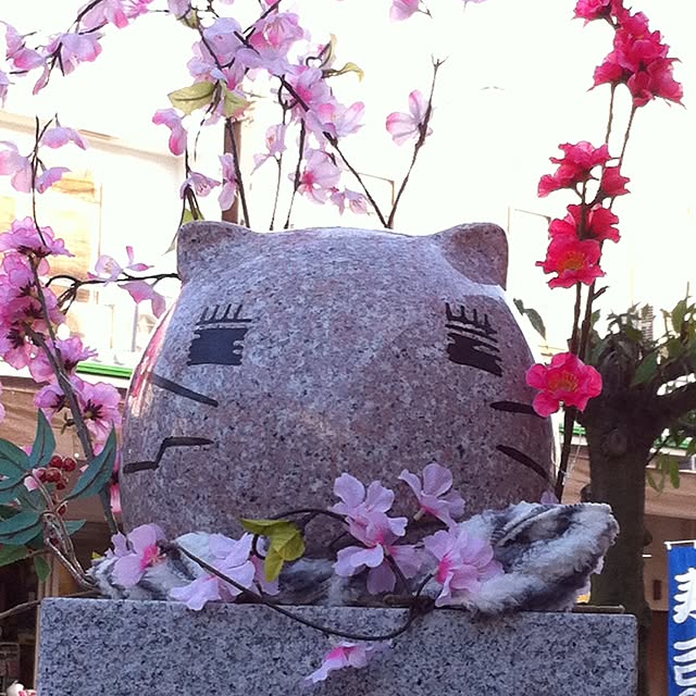 Shigeさんの実例写真