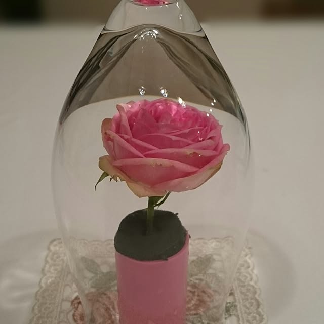 mi3さんの実例写真
