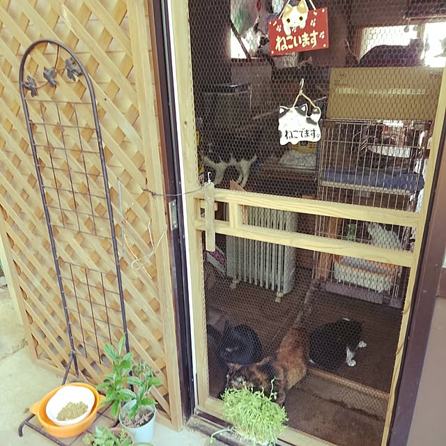 uchizukonyanさんの実例写真
