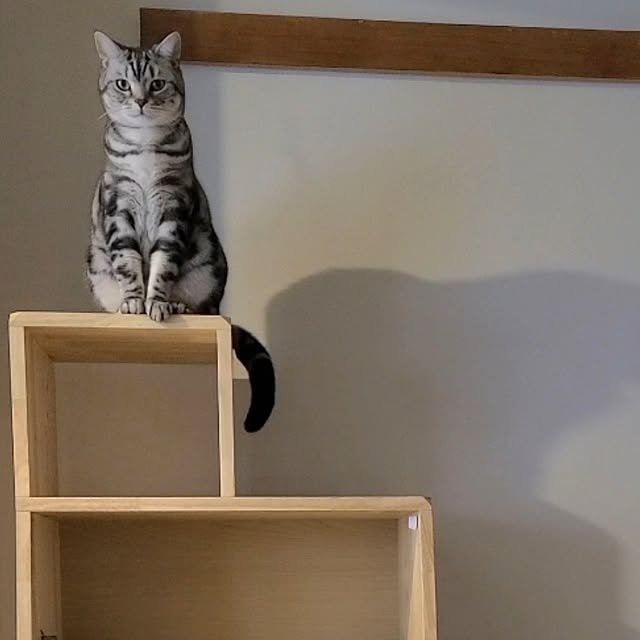 lovepeaceさんの実例写真