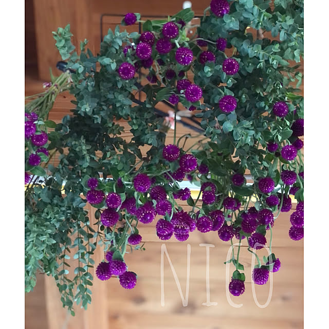 nicoさんの実例写真