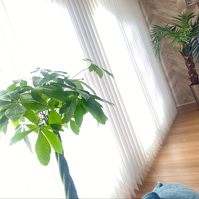 hokechimaさんの実例写真