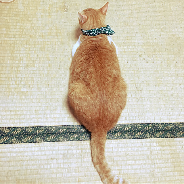 brbrnknkさんの実例写真