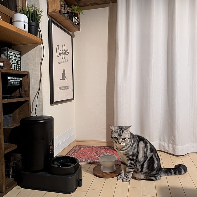 lovepeaceさんの実例写真