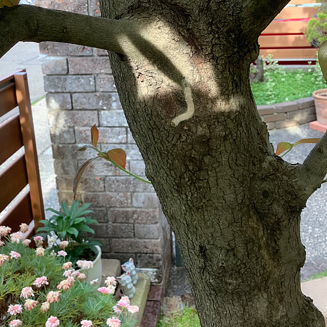 haruminさんの部屋