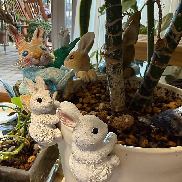 Aqettyさんの実例写真