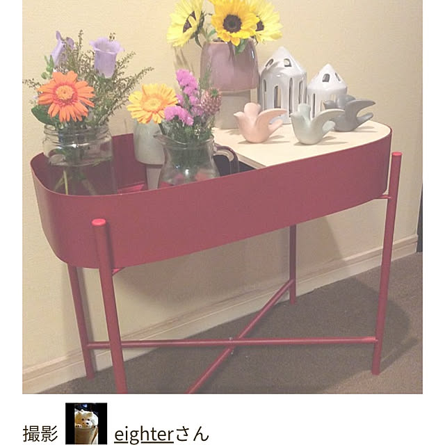 eighterさんの実例写真