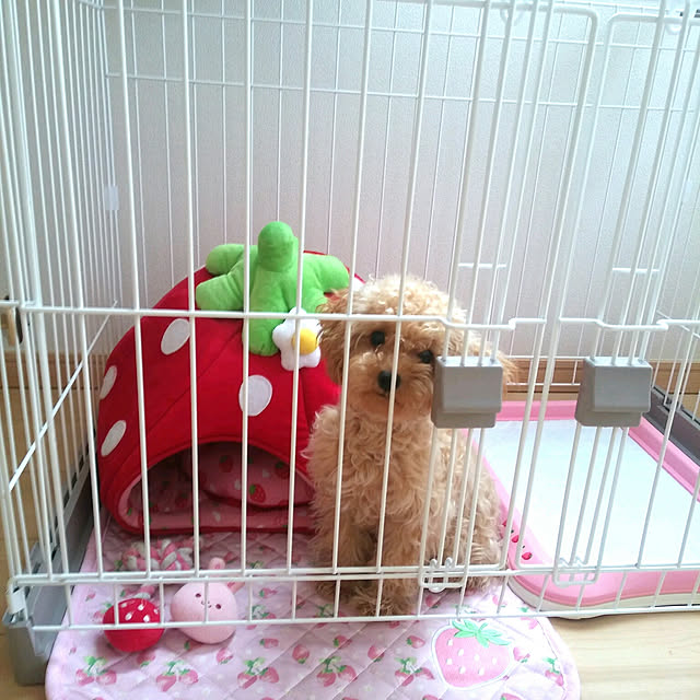 Mikaさんの実例写真