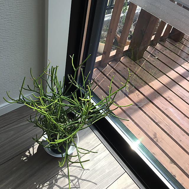 Yume_usagi_13さんの実例写真