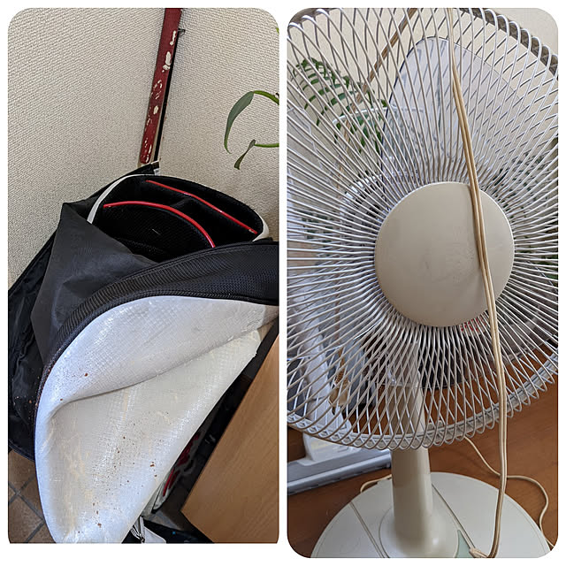 asaさんの実例写真