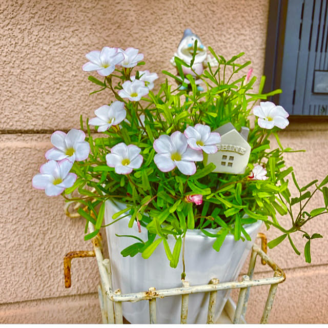 takakoさんの部屋