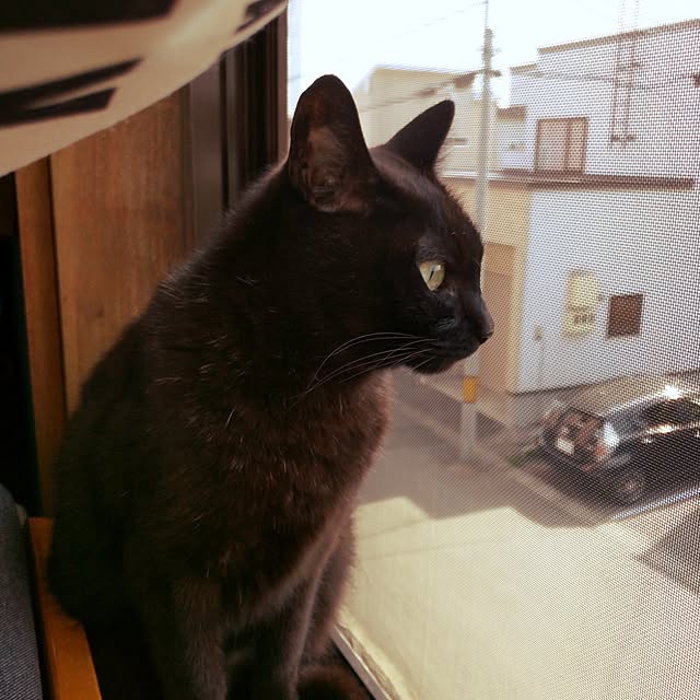 Tomomiさんの実例写真