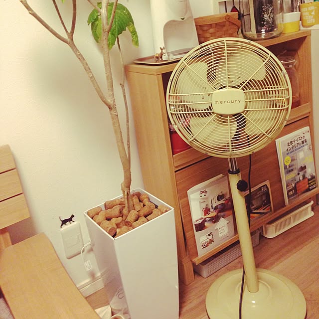 masamasaさんの実例写真