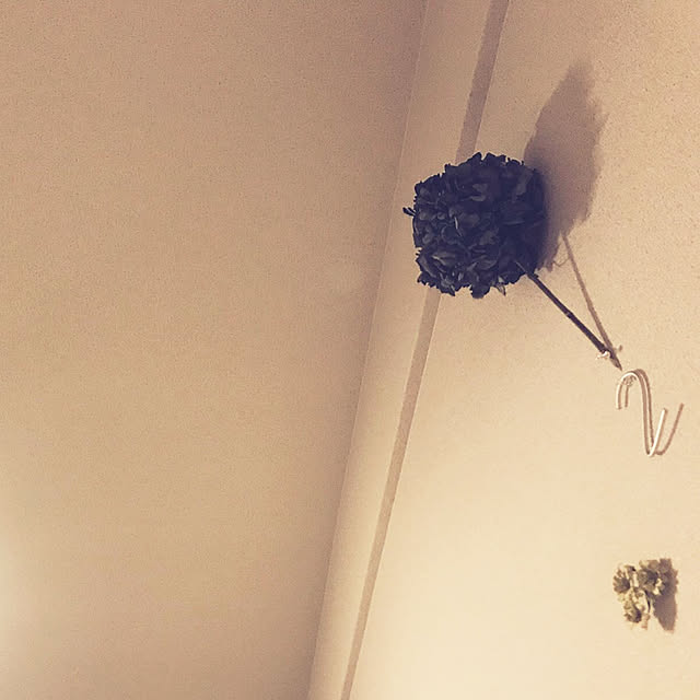 johdoさんの実例写真