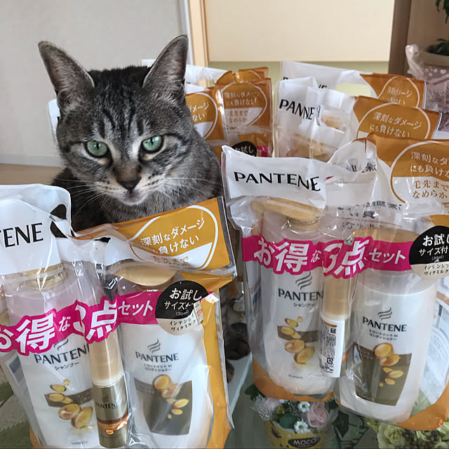 Shinさんの実例写真