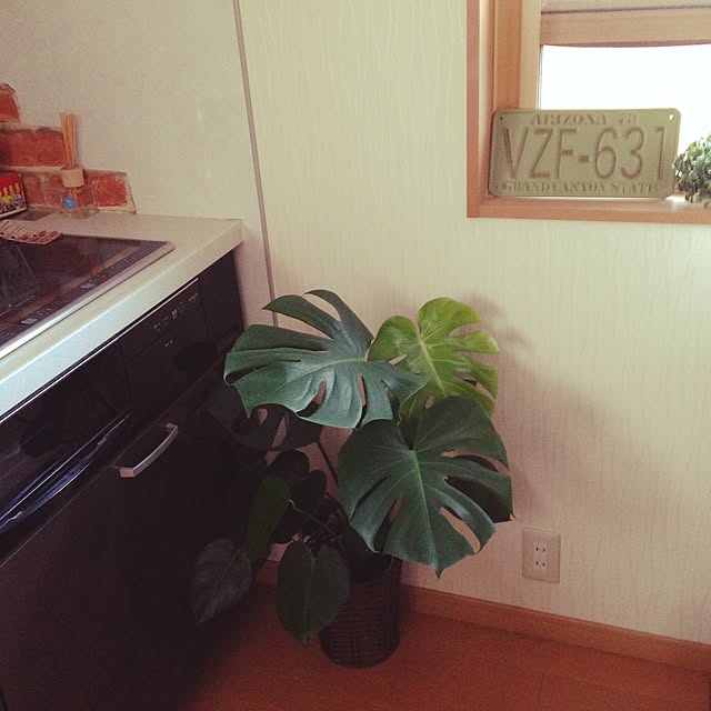 mirigoさんの実例写真