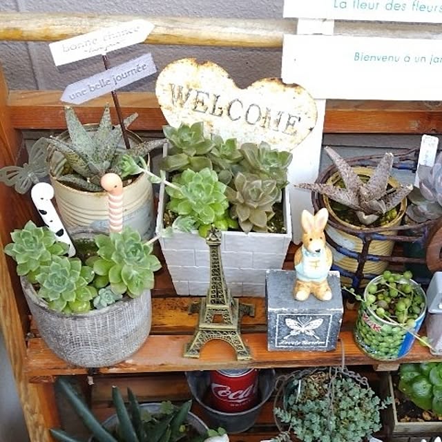 katさんの部屋