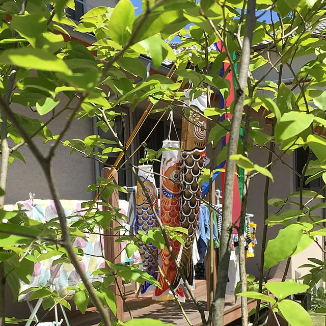 johnp._.qtotoさんの実例写真