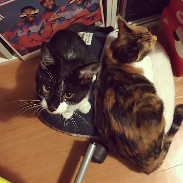 miyabiさんの実例写真