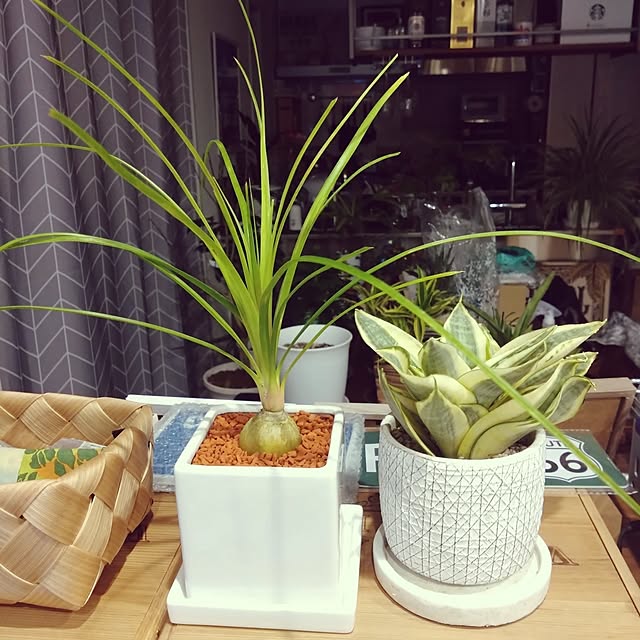 NAOKIさんの実例写真