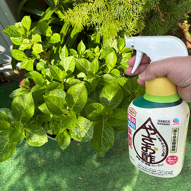 nannoさんの部屋