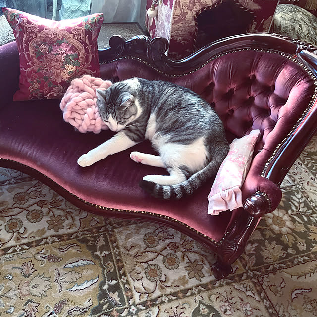 emmyyさんの実例写真