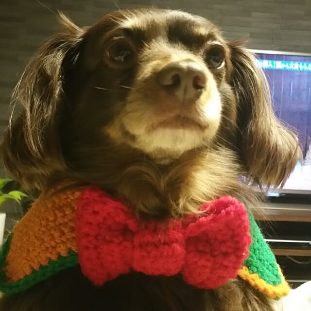 soraさんの実例写真