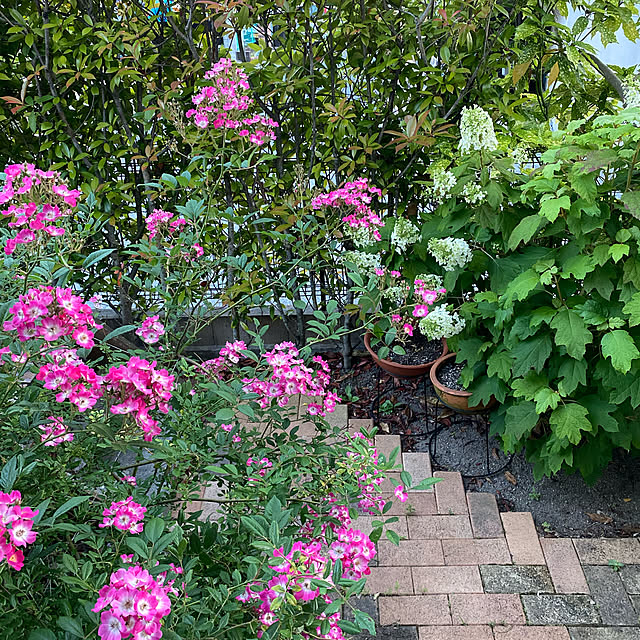 tommysanさんの実例写真