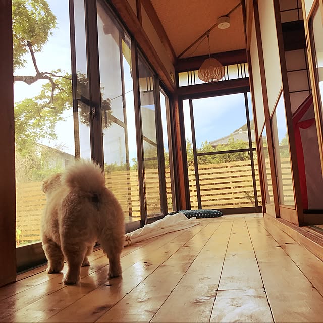 Eijiさんの実例写真