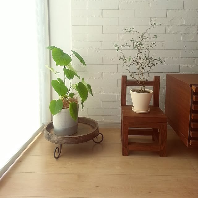 yukaさんの実例写真