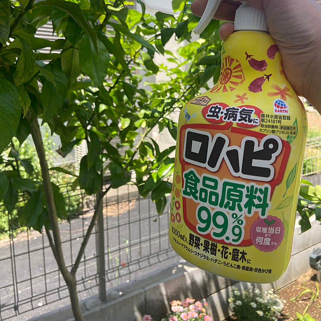 Haruさんの実例写真